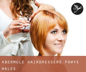 Abermule hairdressers (Powys, Wales)