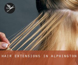 Hair Extensions in Alphington