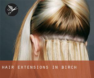 Hair Extensions in Birch