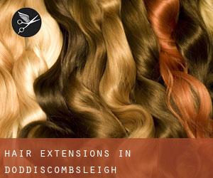 Hair Extensions in Doddiscombsleigh