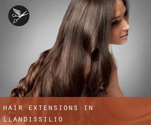 Hair Extensions in Llandissilio
