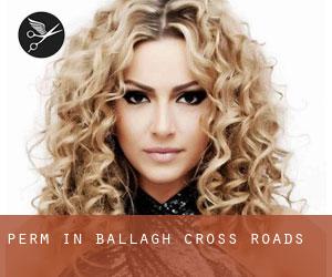 Perm in Ballagh Cross Roads