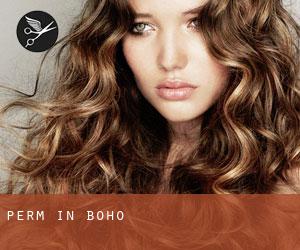 Perm in Boho Perm in Boho