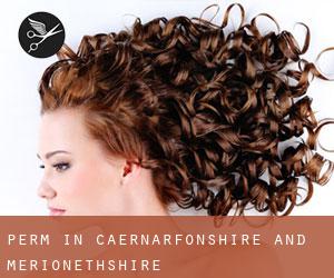 Perm in Caernarfonshire and Merionethshire Perm in Caernarfonshire and Merionethshire