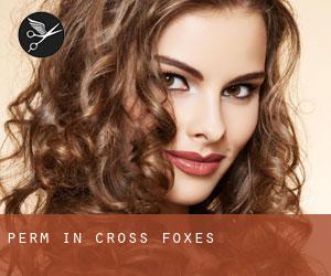 Perm in Cross Foxes