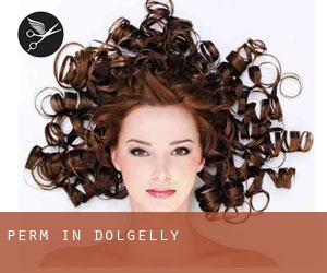 Perm in Dolgelly
