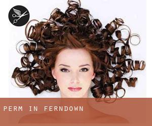 Perm in Ferndown