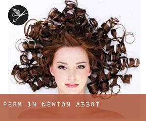 Perm in Newton Abbot