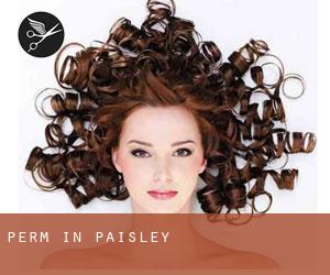 Perm in Paisley