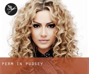 Perm in Pudsey Perm in Pudsey