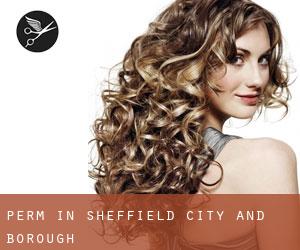 Perm in Sheffield (City and Borough)