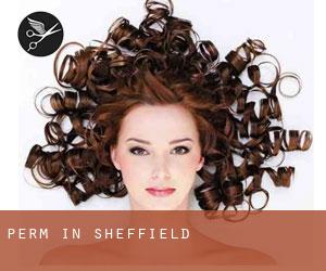 Perm in Sheffield Perm in Sheffield