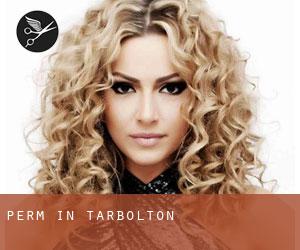 Perm in Tarbolton Perm in Tarbolton