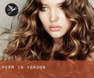 Perm in Yeadon Perm in Yeadon