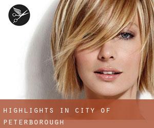 Highlights in City of Peterborough