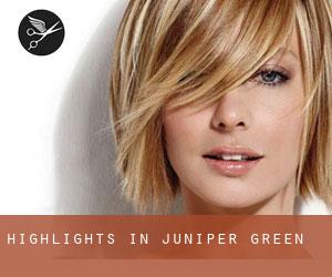 Highlights in Juniper Green