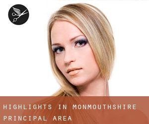 Highlights in Monmouthshire principal area Highlights in Monmouthshire principal area