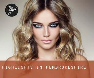 Highlights in Pembrokeshire Highlights in Pembrokeshire