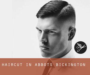Haircut in Abbots Bickington
