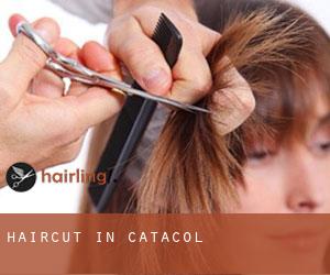Haircut in Catacol