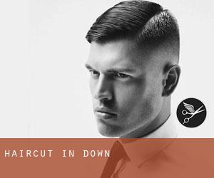 Haircut in Down Haircut in Down