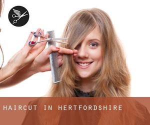Haircut in Hertfordshire