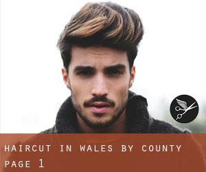 Haircut in Wales by County - page 1