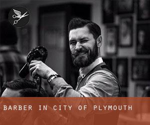Barber in City of Plymouth
