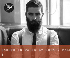 Barber in Wales by County - page 1